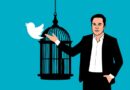 Elon Musk és a Twitter